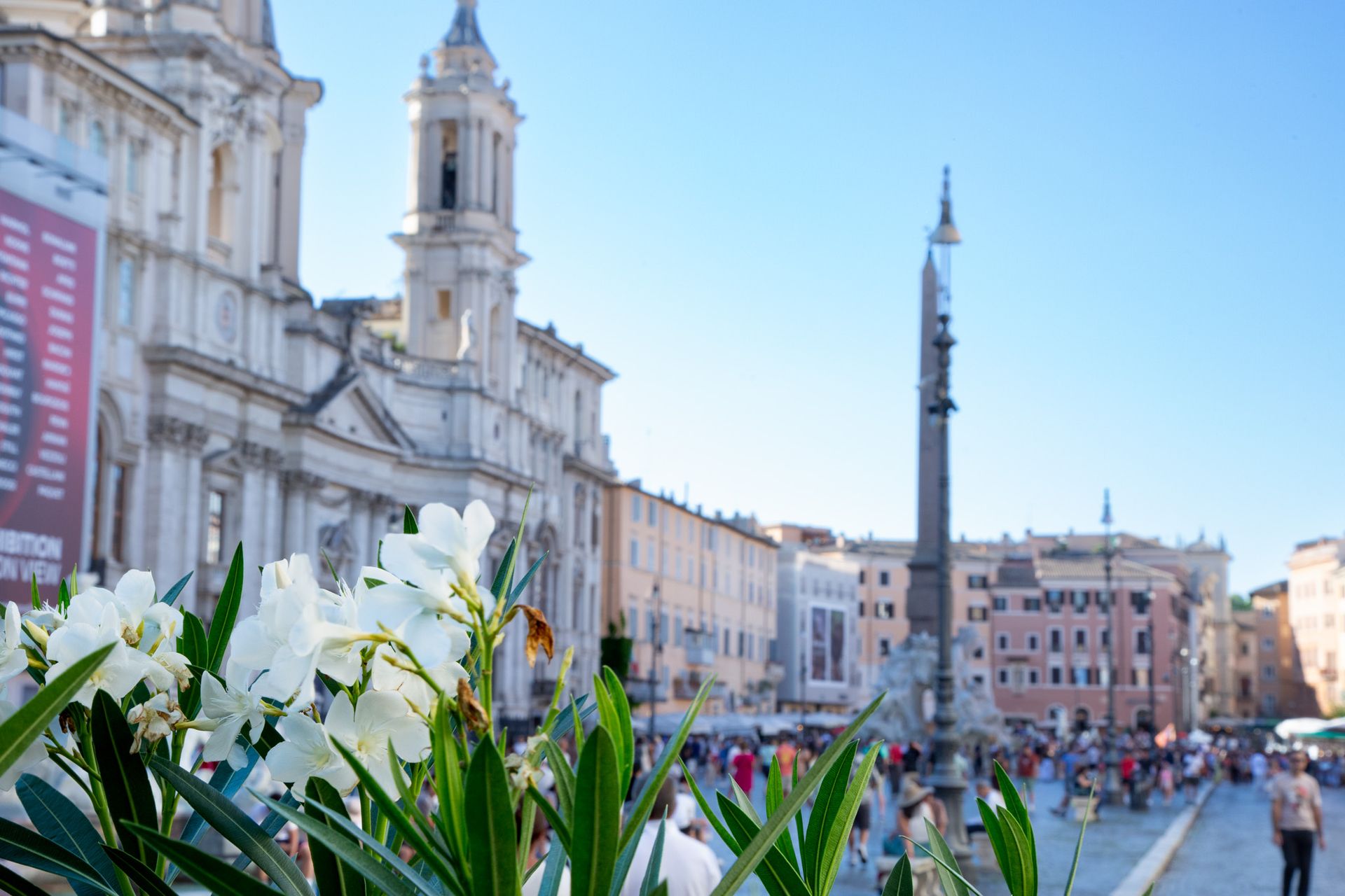 St. Peter's Basilica in Vatican City, seen from afar, with its iconic dome and framed by trees.