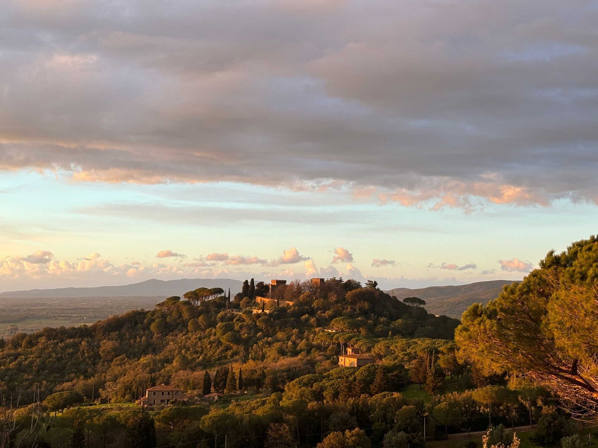 Sunlit hills with dense trees under a cloudy pastel sky at sunset