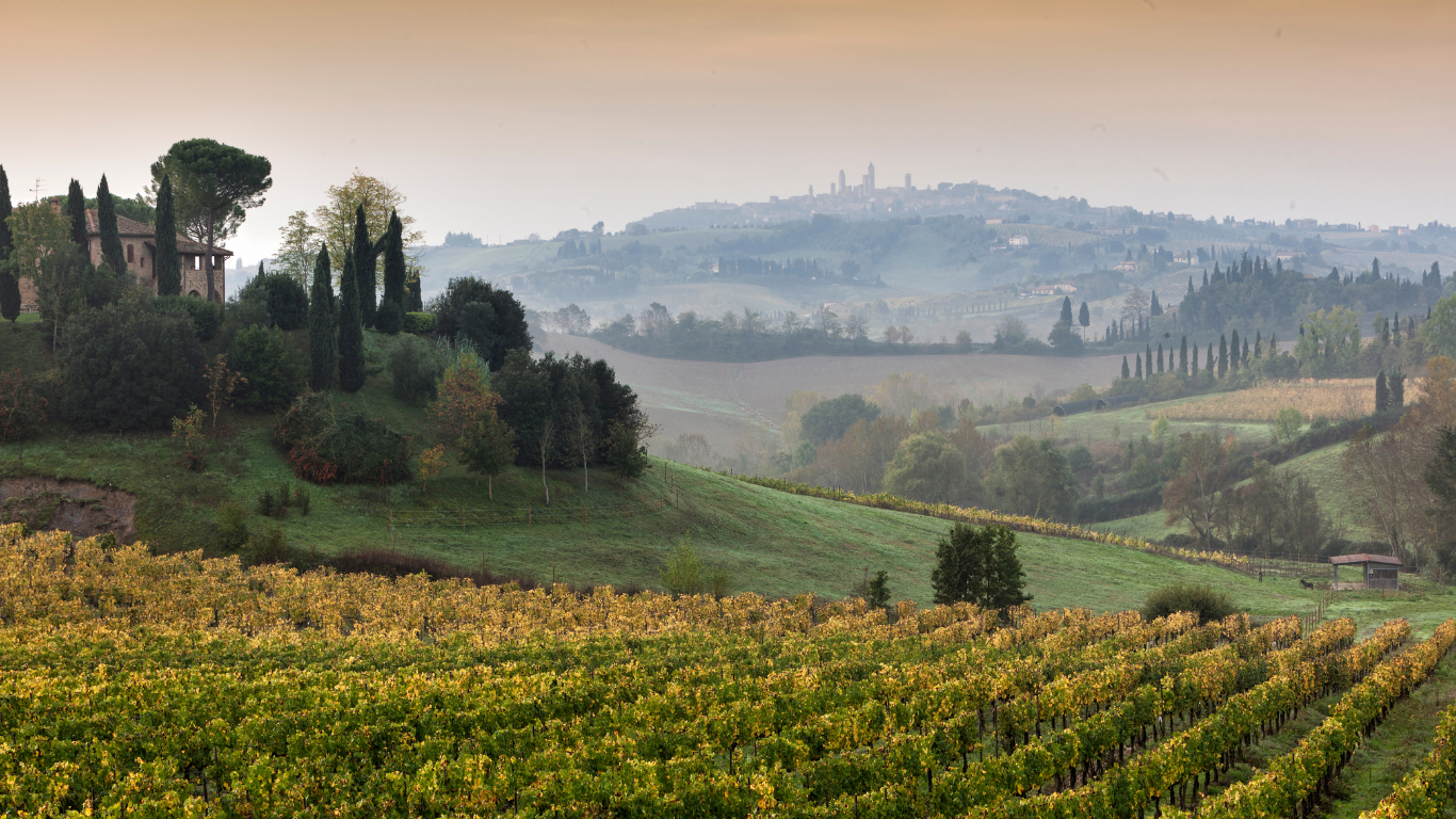 Rolling vineyard hills at sunrise with mist, cypress trees, and a distant farmhouse under a soft sky