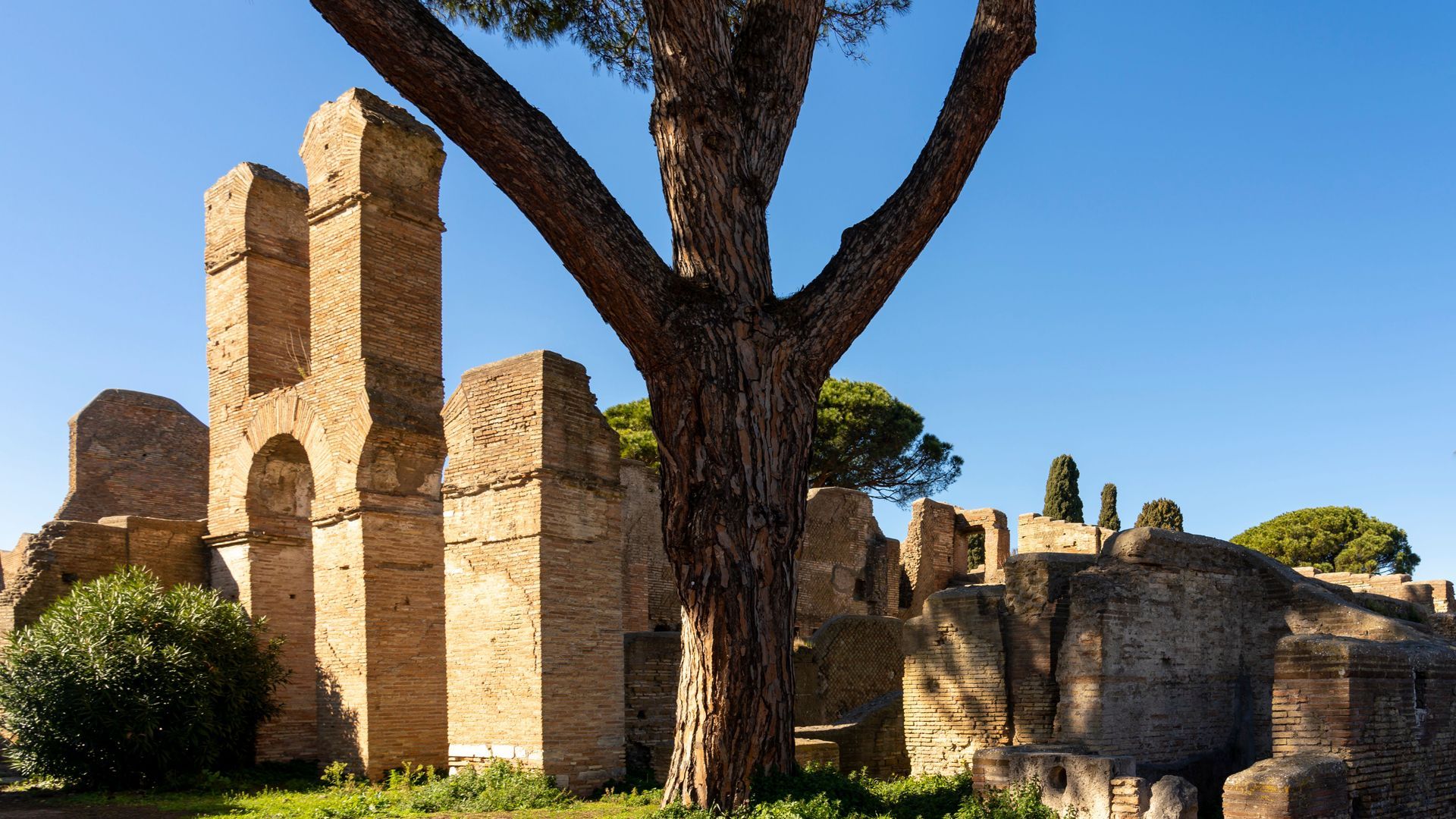 Ancient brick ruins with a large tree against a blue sky.