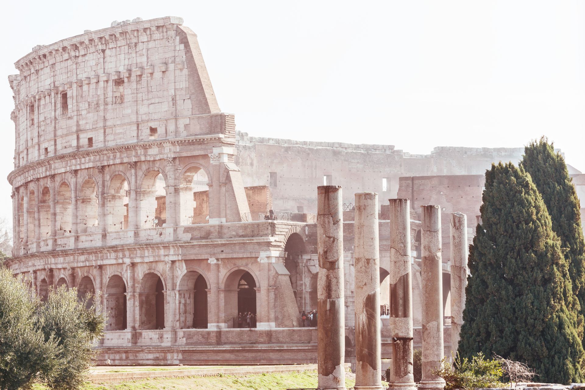 Colosseum ruins in Rome, Italy. Exterior view, pale stone, arched structures, tall trees.