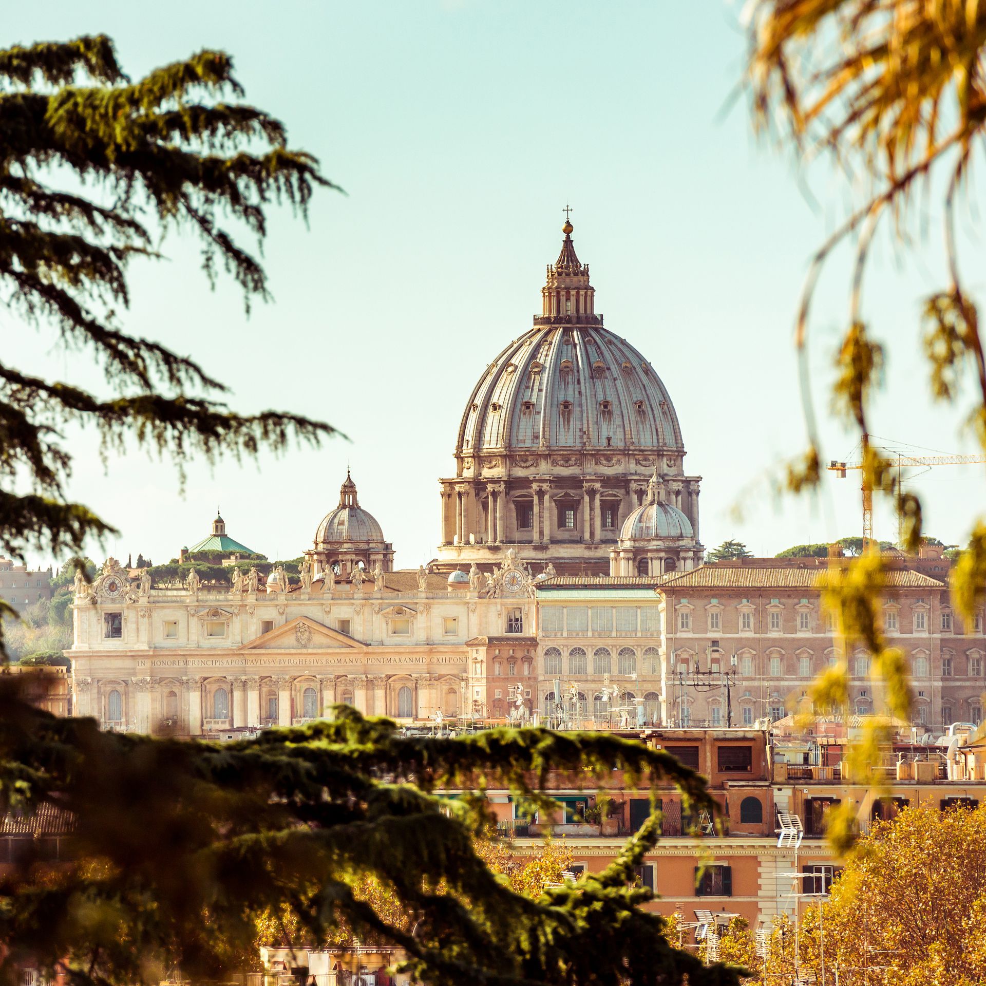 St. Peter's Basilica, Rome, seen through tree branches; dome dominates skyline under a clear, blue sky.