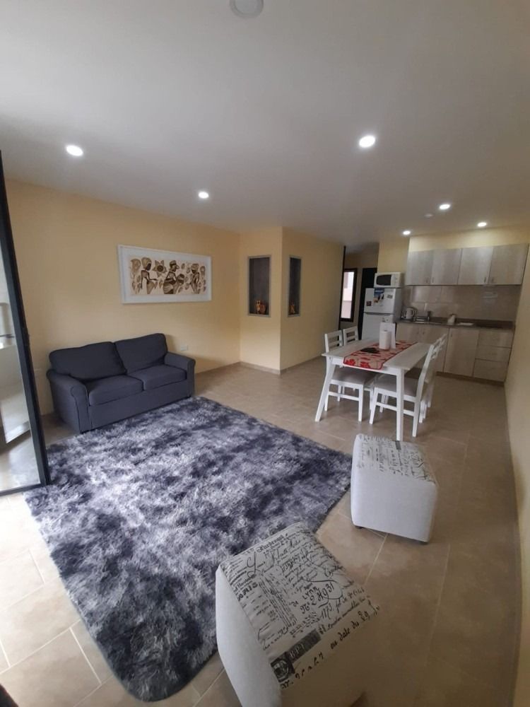 Living room with a sofa, rug, dining table, and kitchen area.