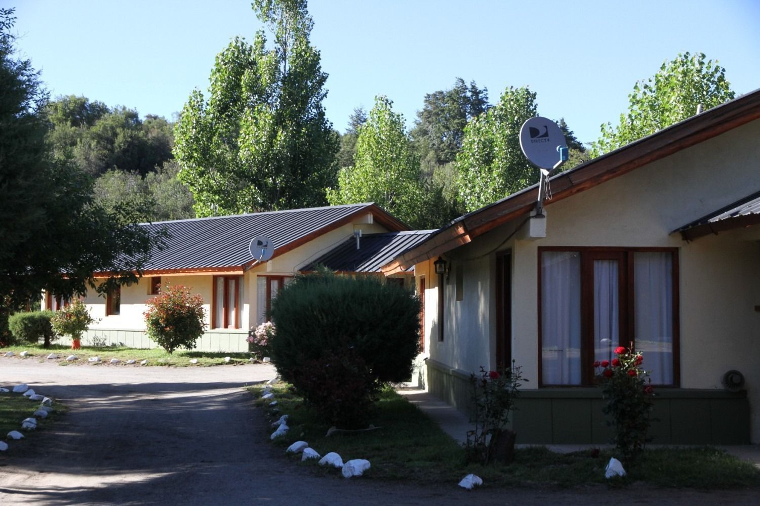 Row of bungalows with satellite dishes, trees, and a driveway on a sunny day.