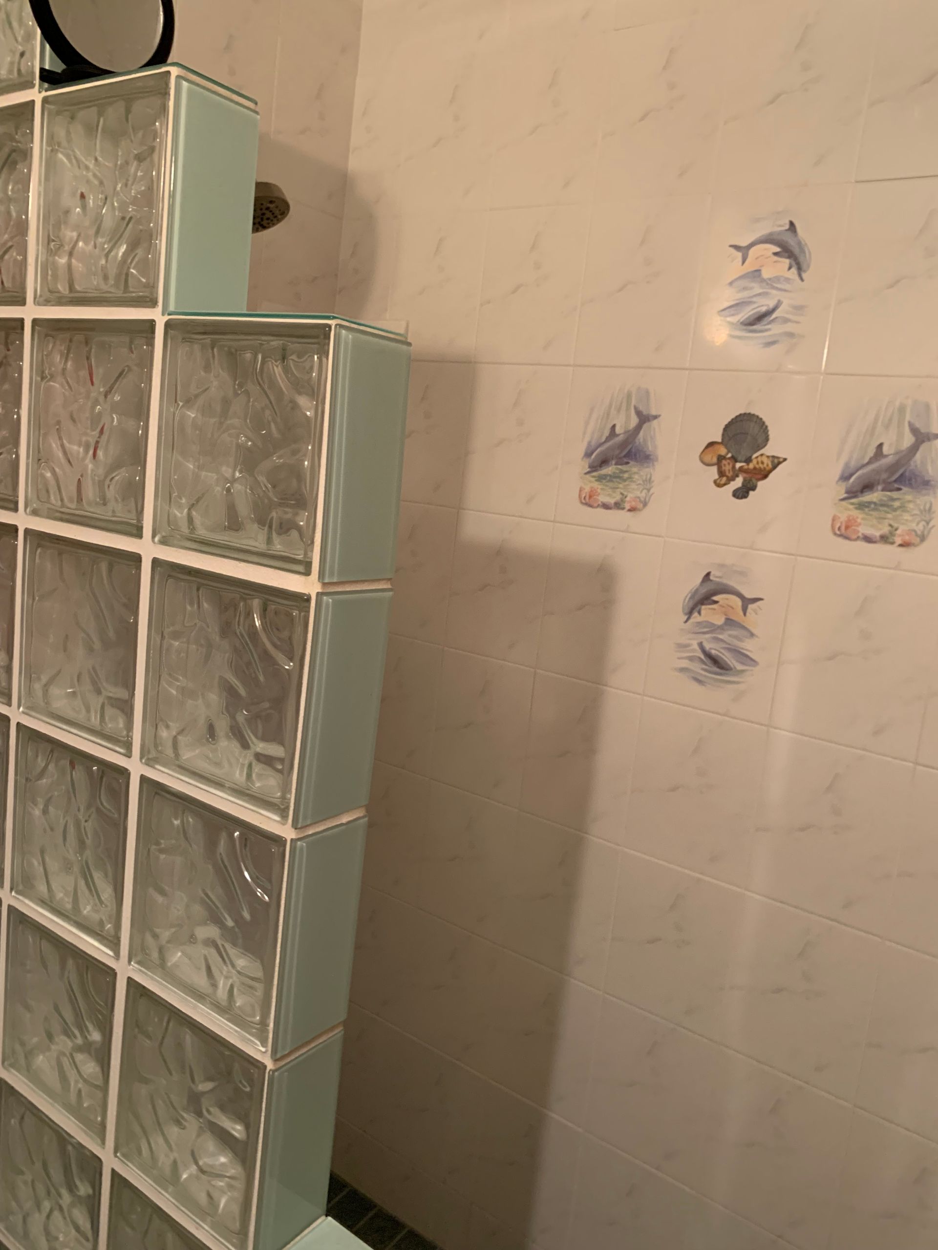A bathroom with a glass block wall and tiles with dolphins on them.