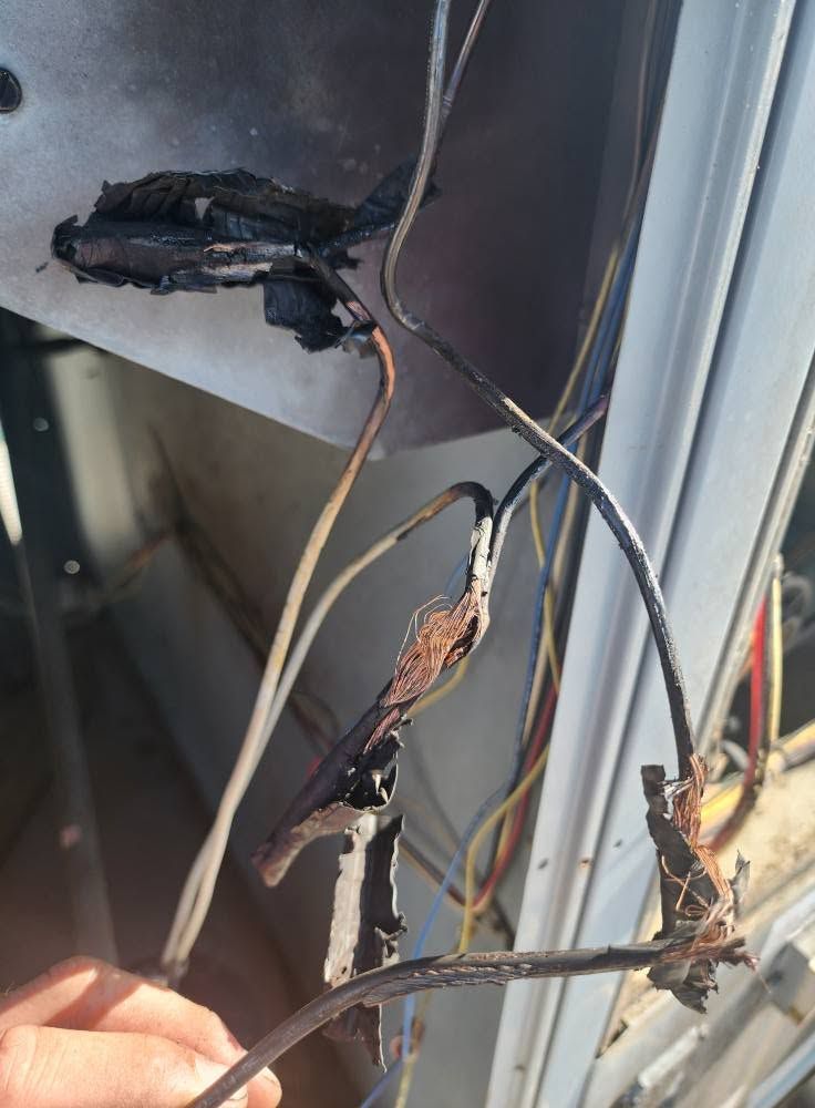 Charred electrical wiring inside a panel, with melted insulation and exposed cables.