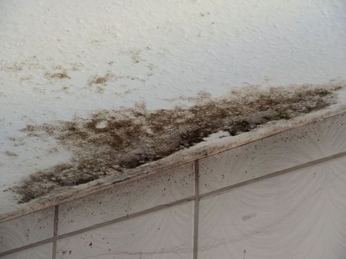 Mold and water stains on a white ceiling above tiled wall trim