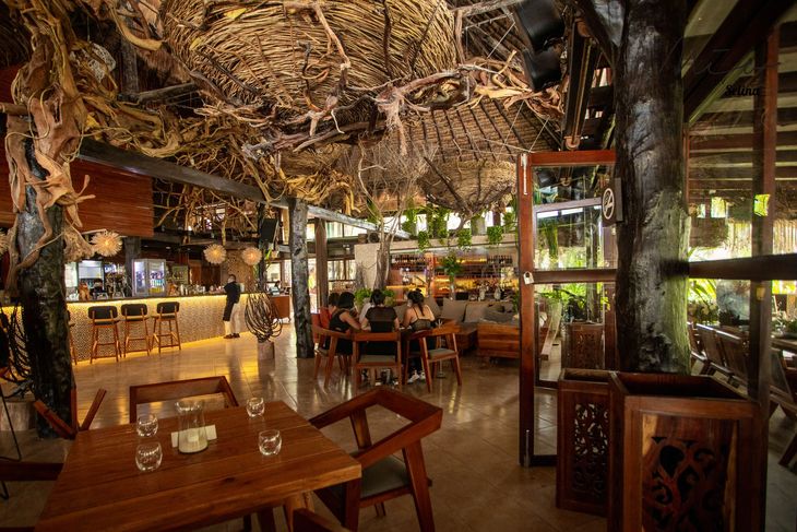 Warm tropical restaurant interior with wooden tables, bar seating, and leafy canopy decor