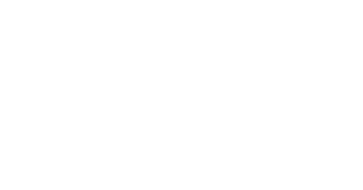 Mostly blank white image with a thin black horizontal line near the bottom.