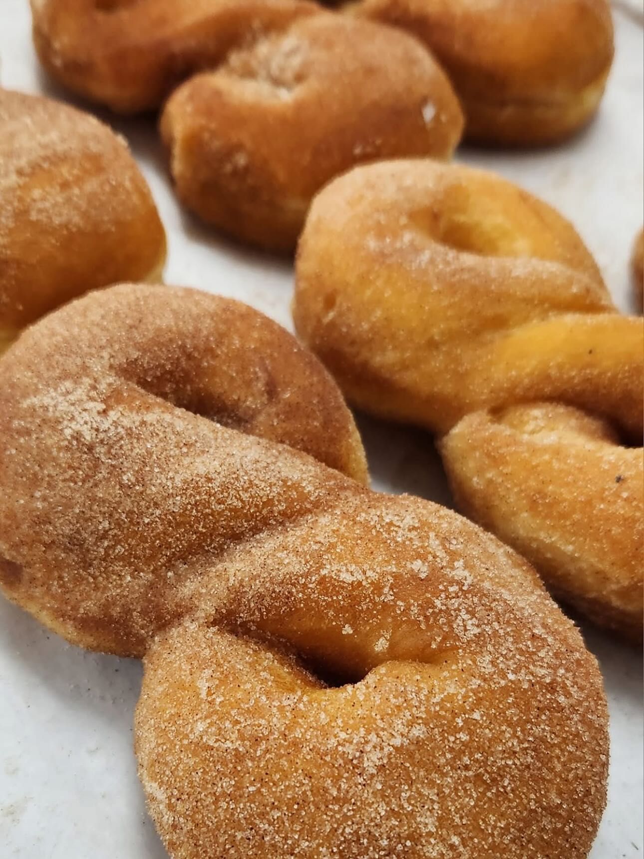 Twisted donuts coated in cinnamon sugar, arranged on a white surface.