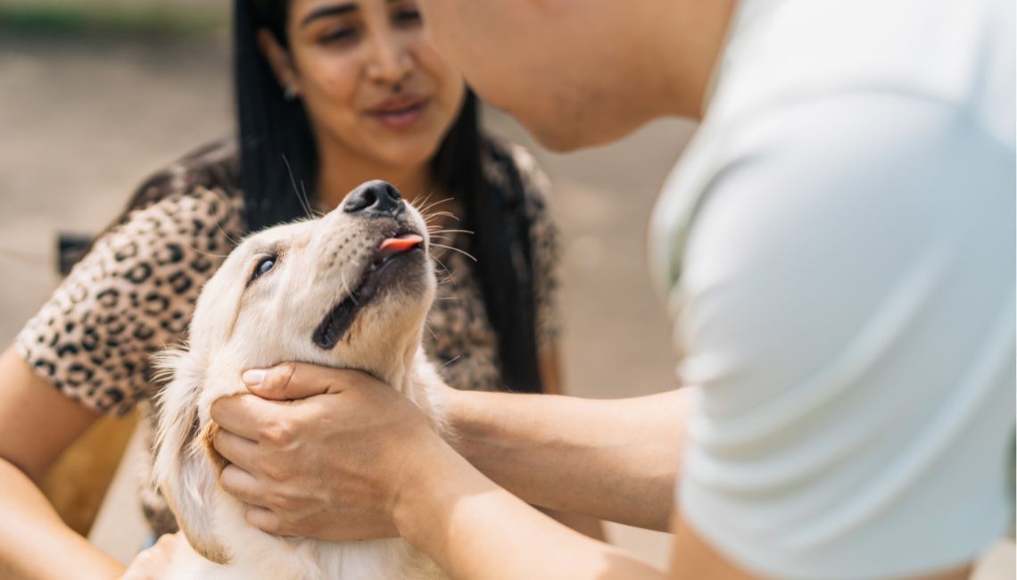 Persona acaricia a un perro joven de pelo claro mientras otra persona observa en segundo plano, al aire libre.