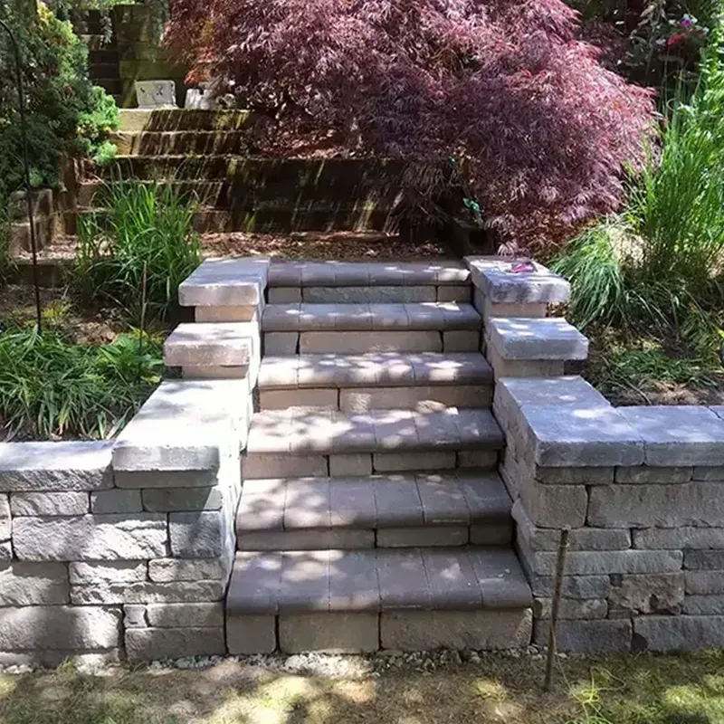 Stone garden steps with retaining walls, surrounded by greenery and a purple-leaf tree.