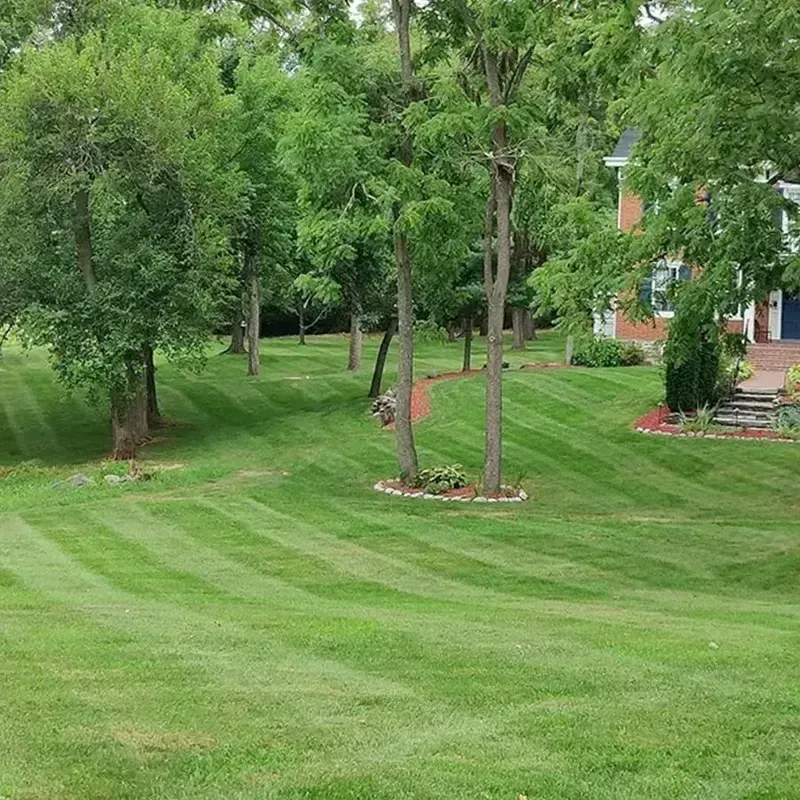 Lush green lawn with trees and a house in the background