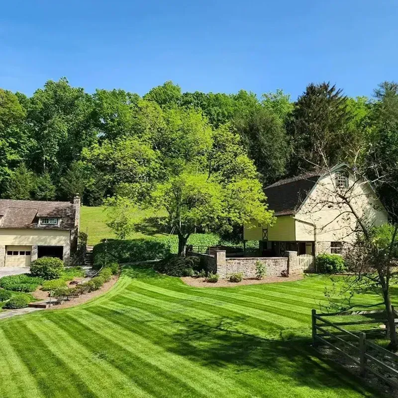 Sunny rural landscape with green lawn, trees, and two houses under a clear blue sky