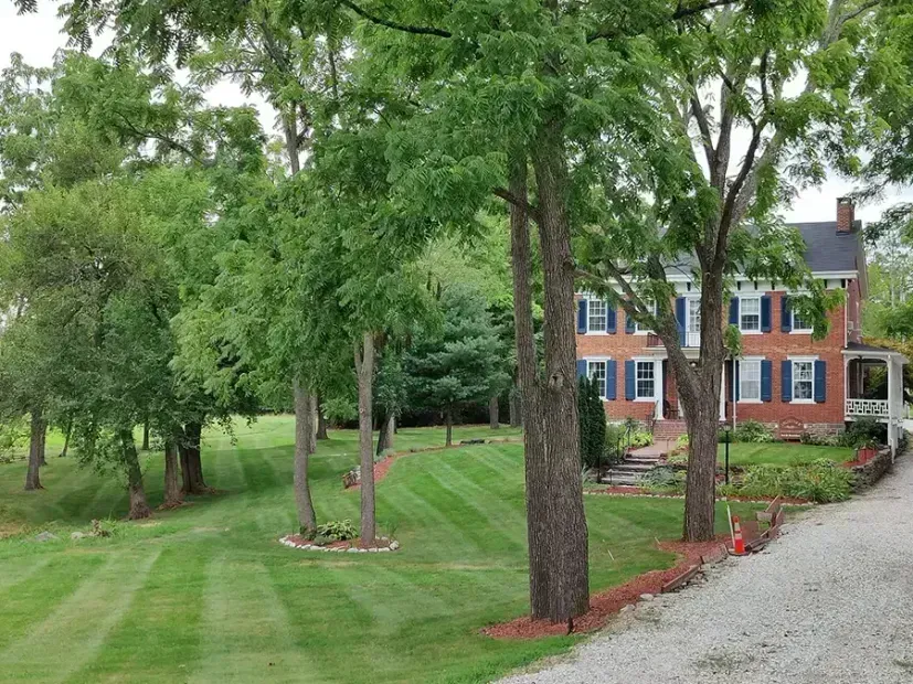 Tree-lined front yard with manicured lawn and a brick house beside a gravel driveway.