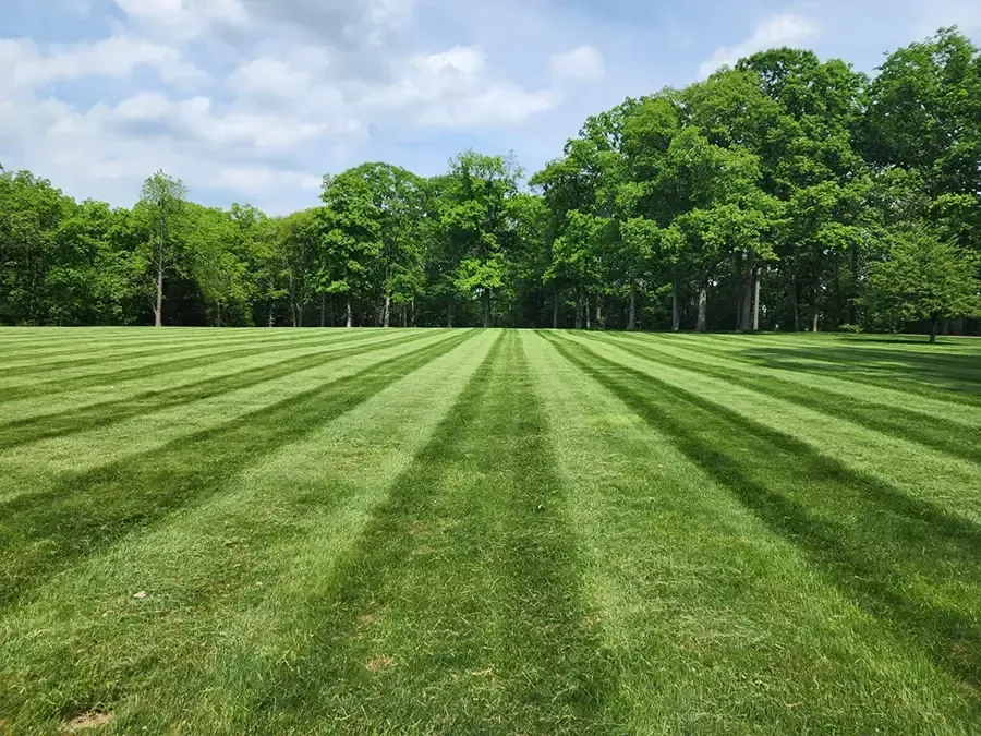 Wide green lawn with fresh mowing stripes, bordered by dense trees under a partly cloudy sky