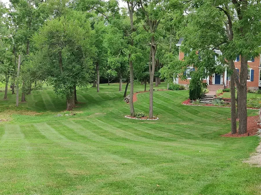 Lush green park lawn with trees and a lamppost, bordered by a brick building and walkway