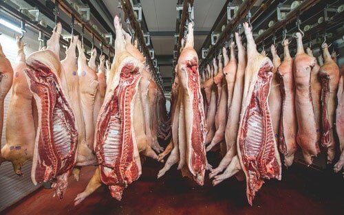 Peeled Pork Hanging — Wholesale Butchery in Dubbo, NSW
