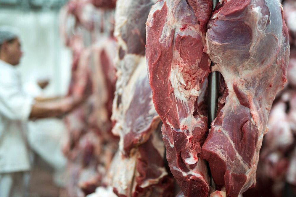 Fresh Red Meat And A Butcher