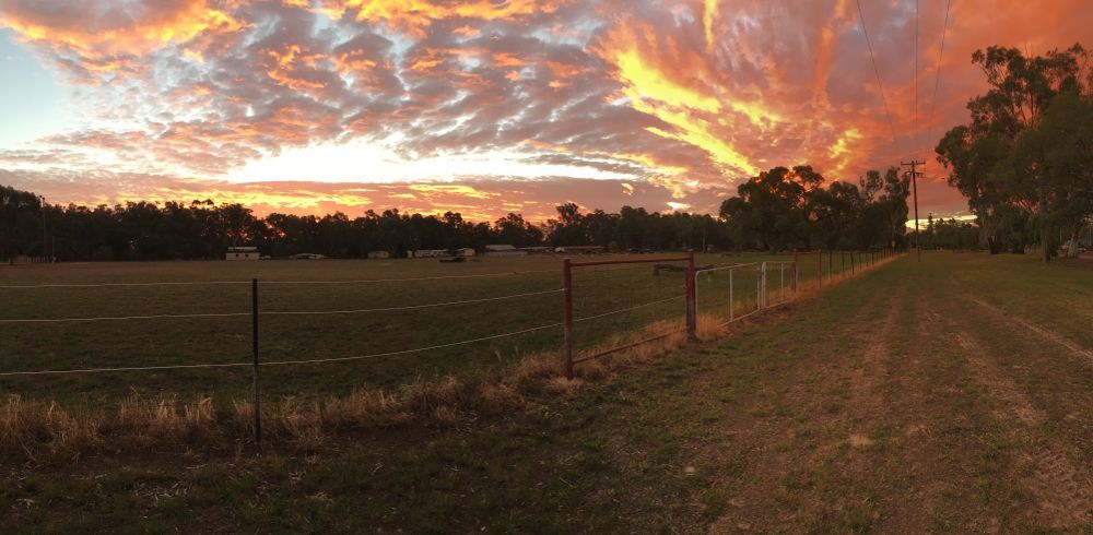 A Golden Condobolin Sunset — Wholesale Butchery in Condobolin, NSW
