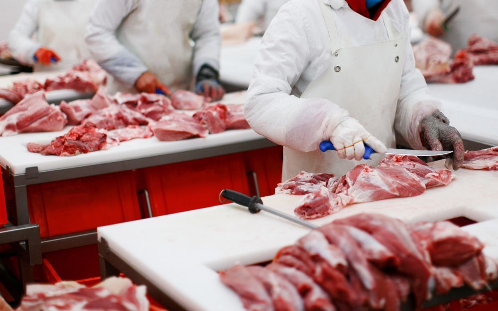 A group of workers in meat factory — Wholesale Butchery in Nyngan, NSW