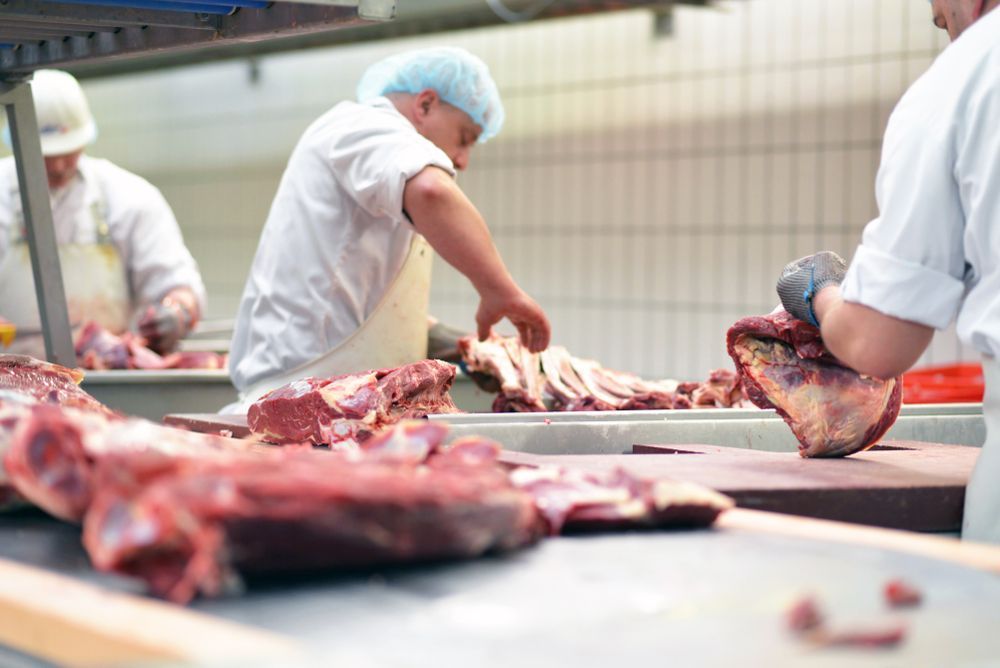 Butchers working in a slaughterhouse and cuts freshly slaughtered meat — Wholesale Butchery in Cobar, NSW