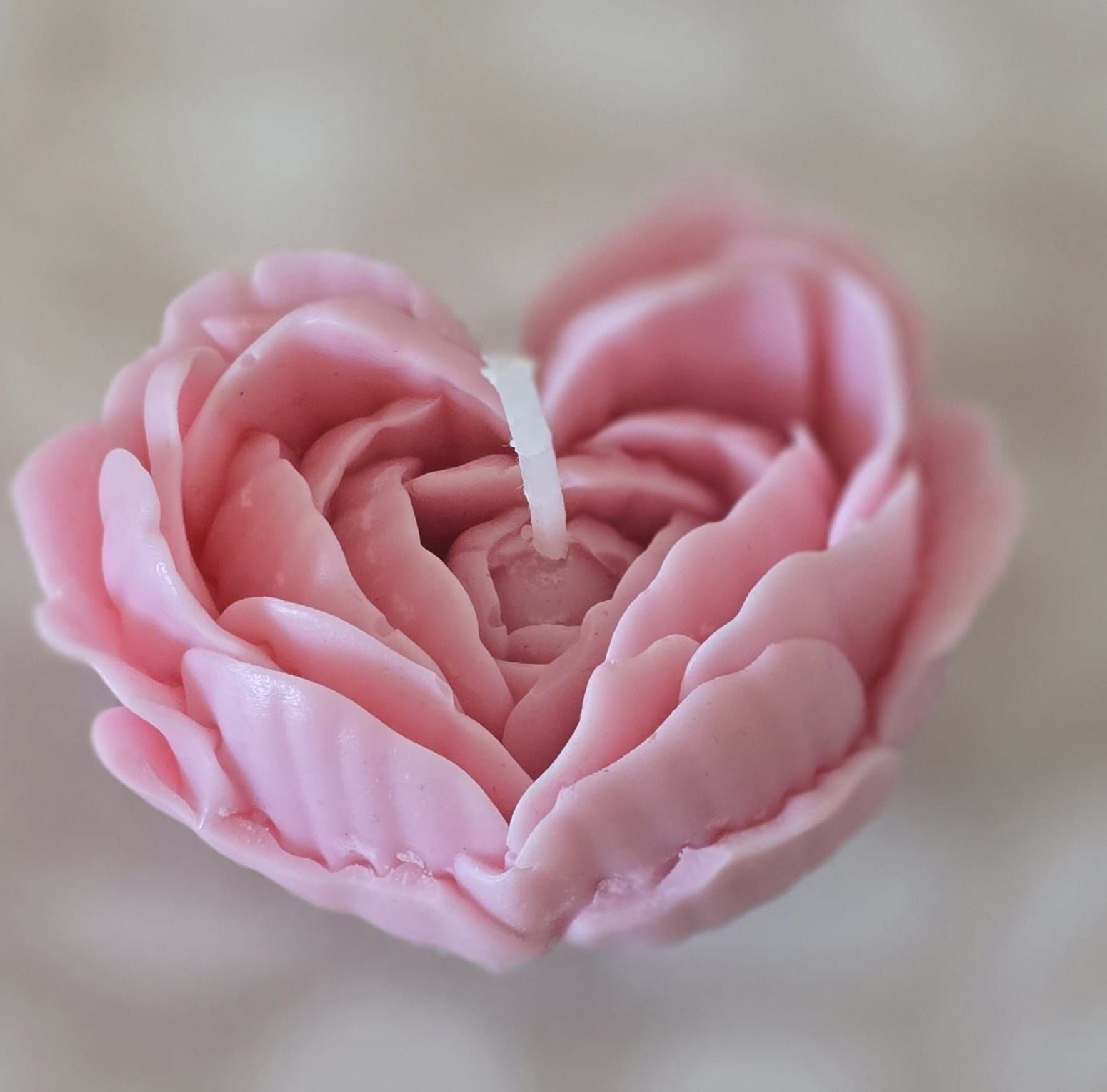 Bloom Rozenkaars