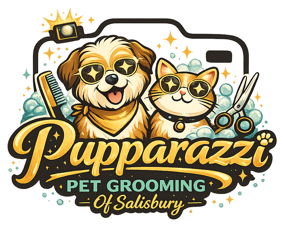 Pet Grooming in Salisbury, NC | Pupparazzi Pet Grooming Of Salisbury Pet Grooming in Salisbury, NC | Pupparazzi Pet Grooming Of Salisbury