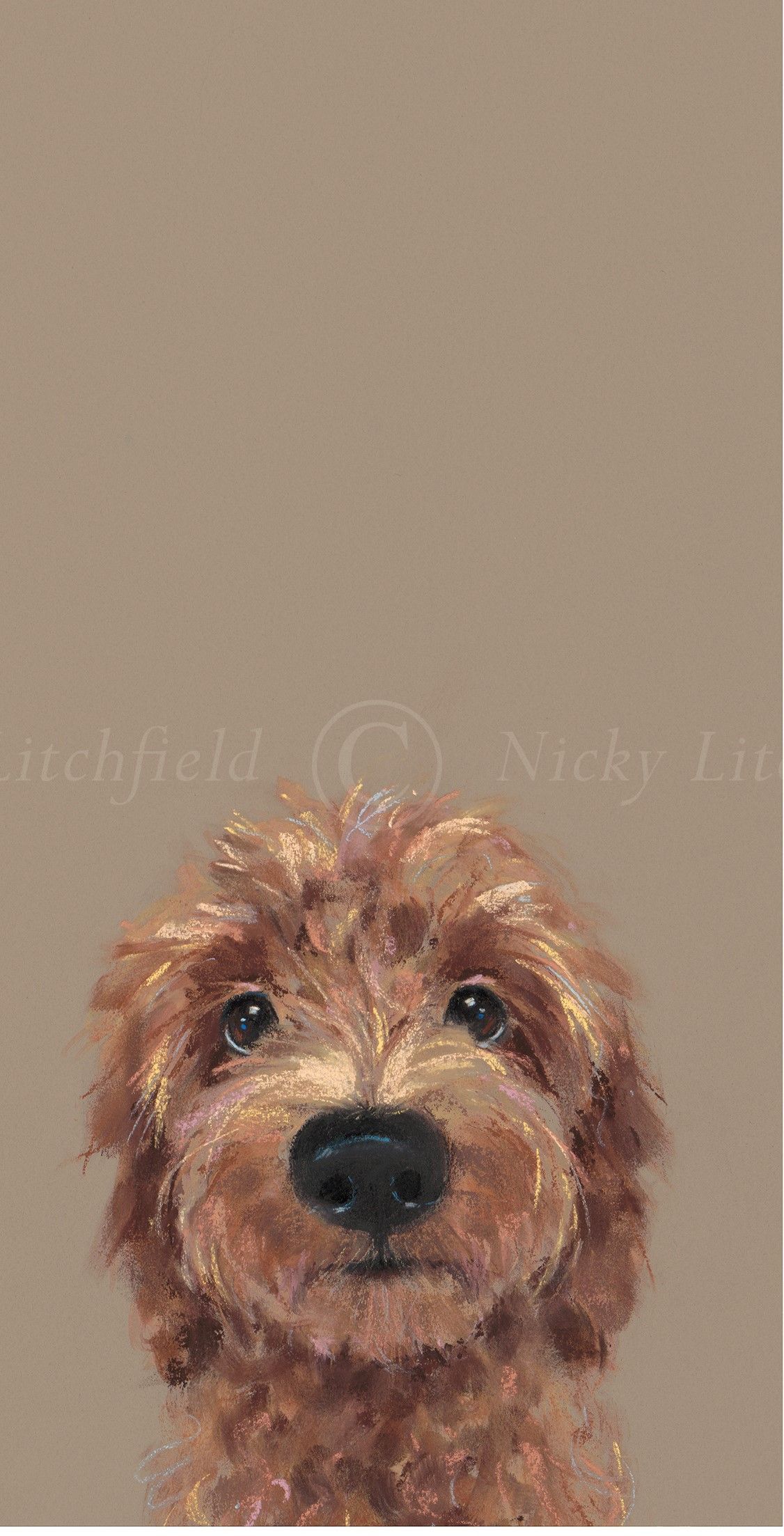 Choose Me - Nicky Litchfield