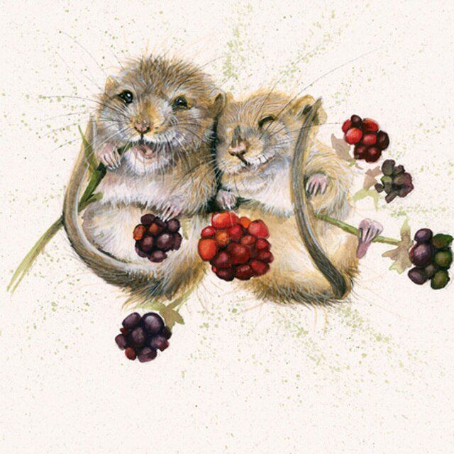 Chuckle Berries - Kay Johns