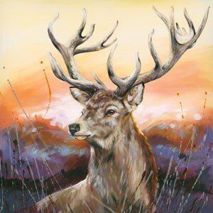 First Light - Kay Johns