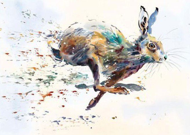 Hare Spray - Jake Winkle