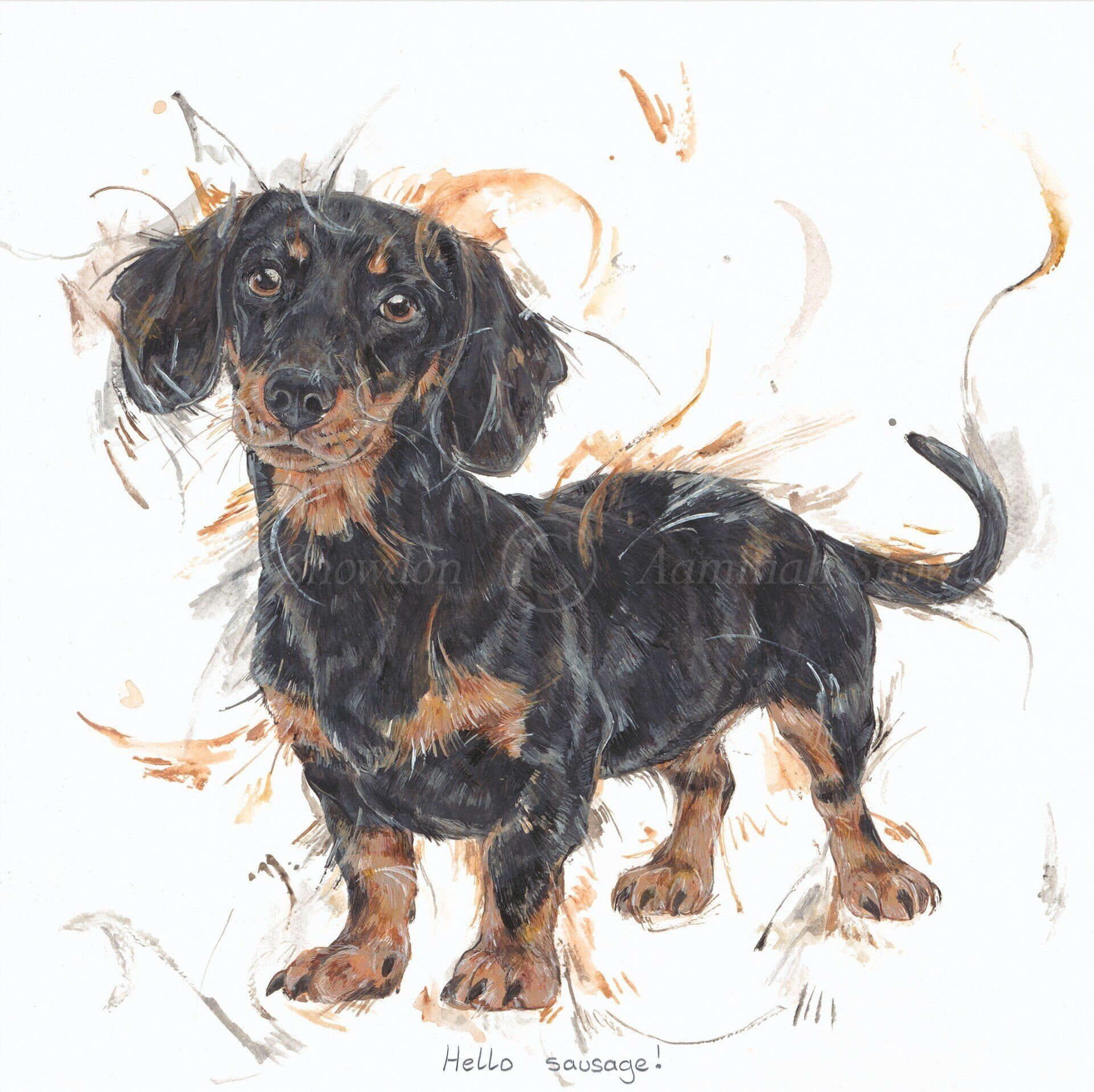 Hello Sausage - Aaminah Snowdon