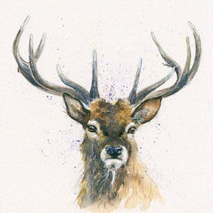 His Lordship - Kay Johns
