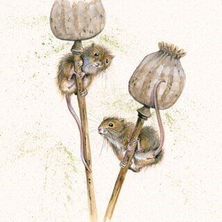I Seed You First - Kay Johns