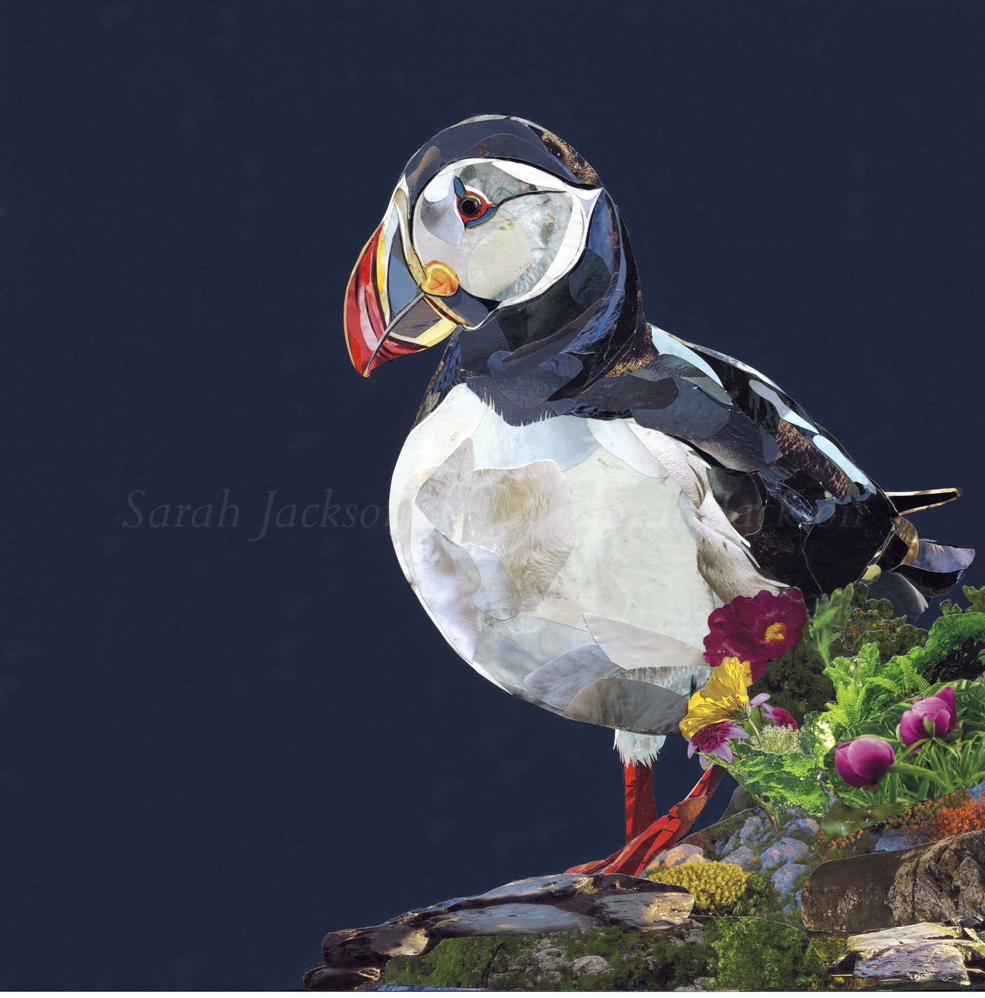 Lundy - Sarah Jackson