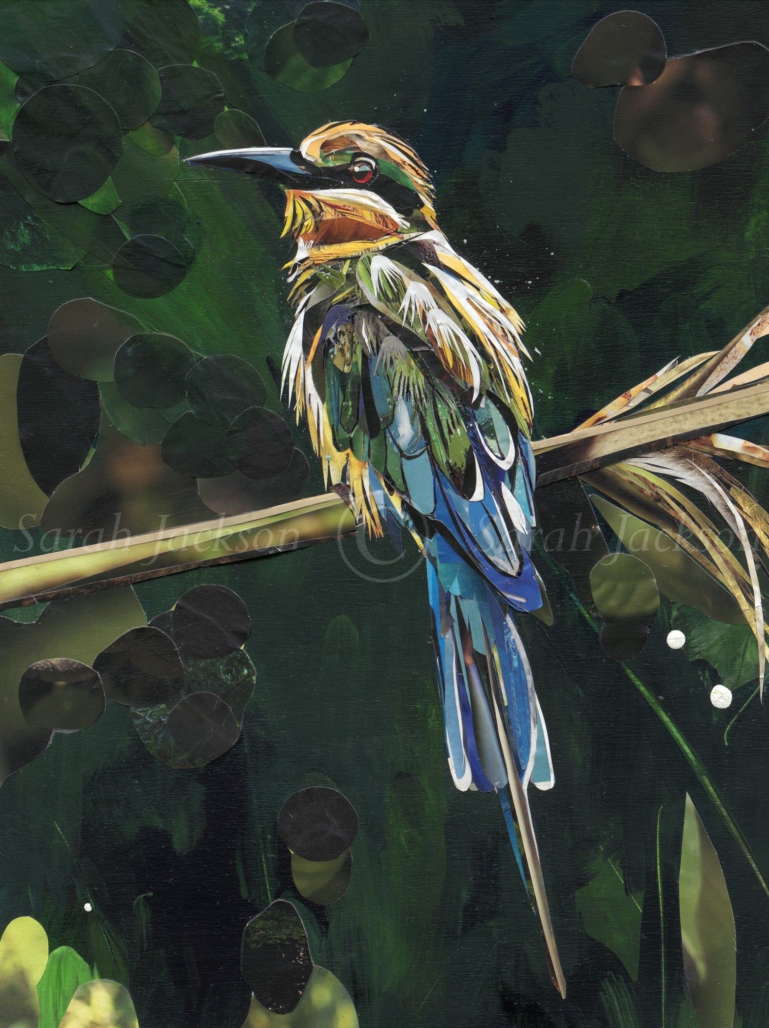Paradise - Sarah Jackson