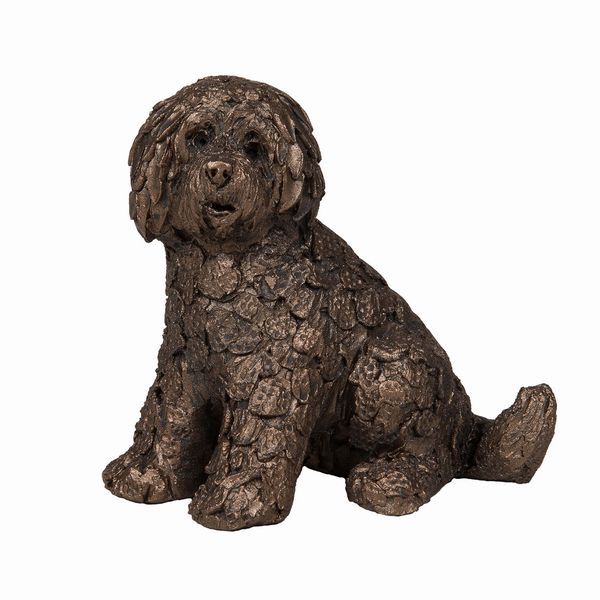 Shorty Labradoodle - Adrian Tinsley - £32