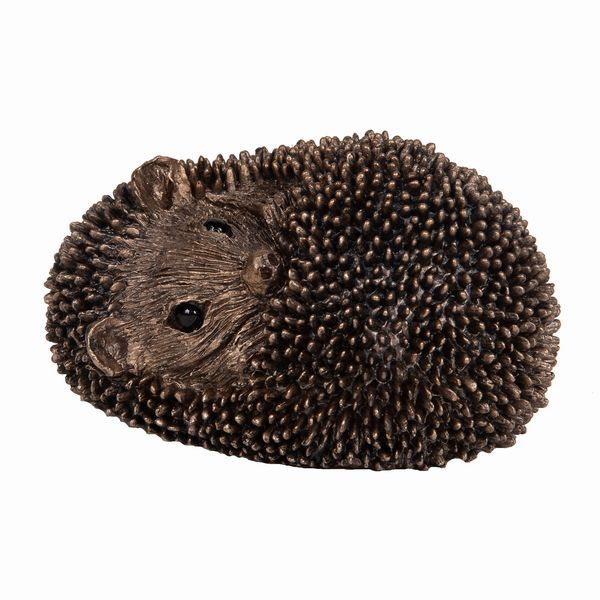 Zippo Baby Hedgehog - Thomas Meadows - £34