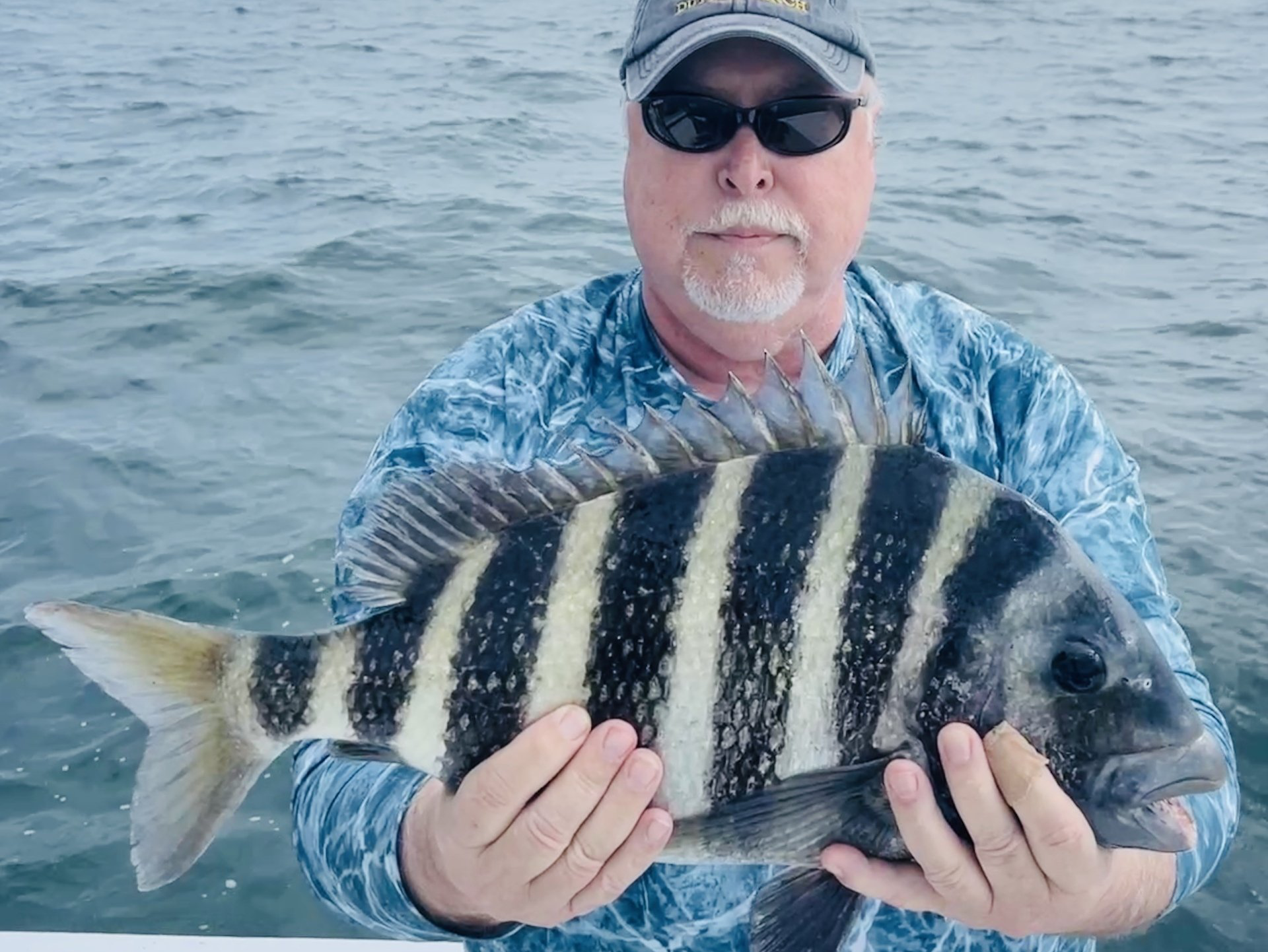 Sheepshead Fishing Crystal River, Florida