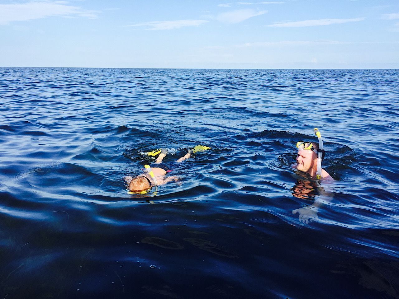 Crystal River Scalloping