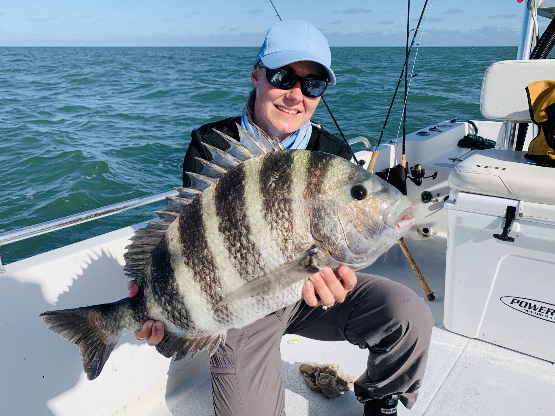 Sheepshead fishing crystal river florida