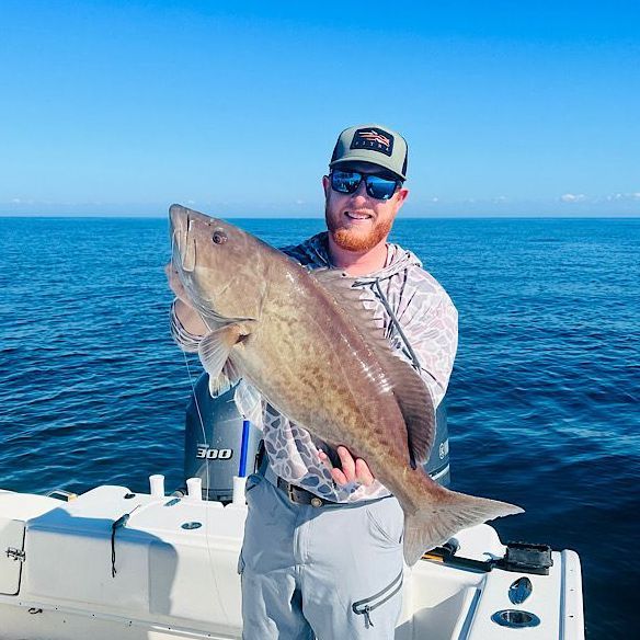 Grouper Fishing Charters Crystal River