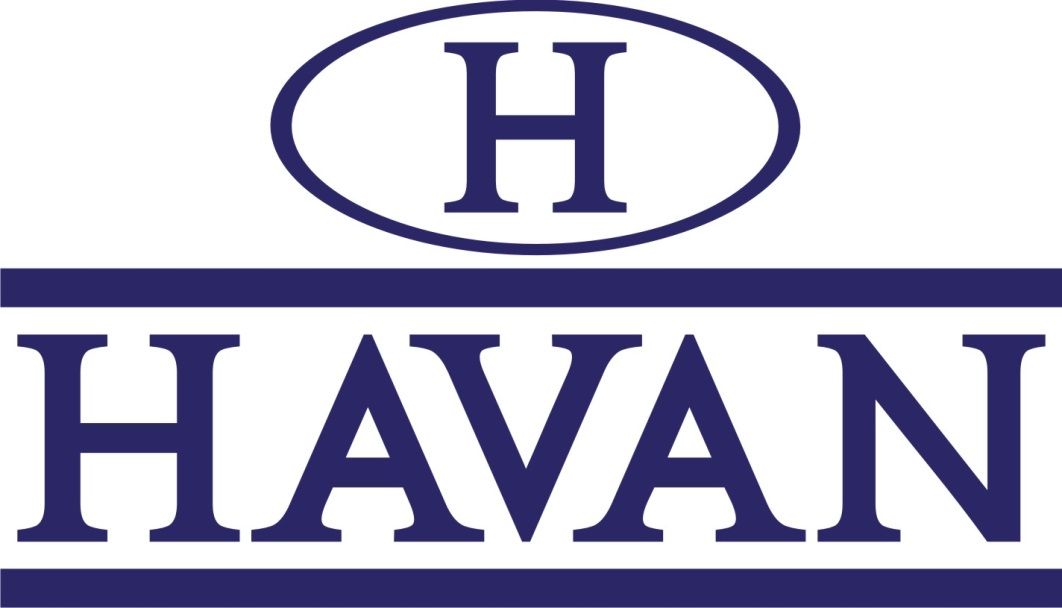 Logotipo da Havan: um 