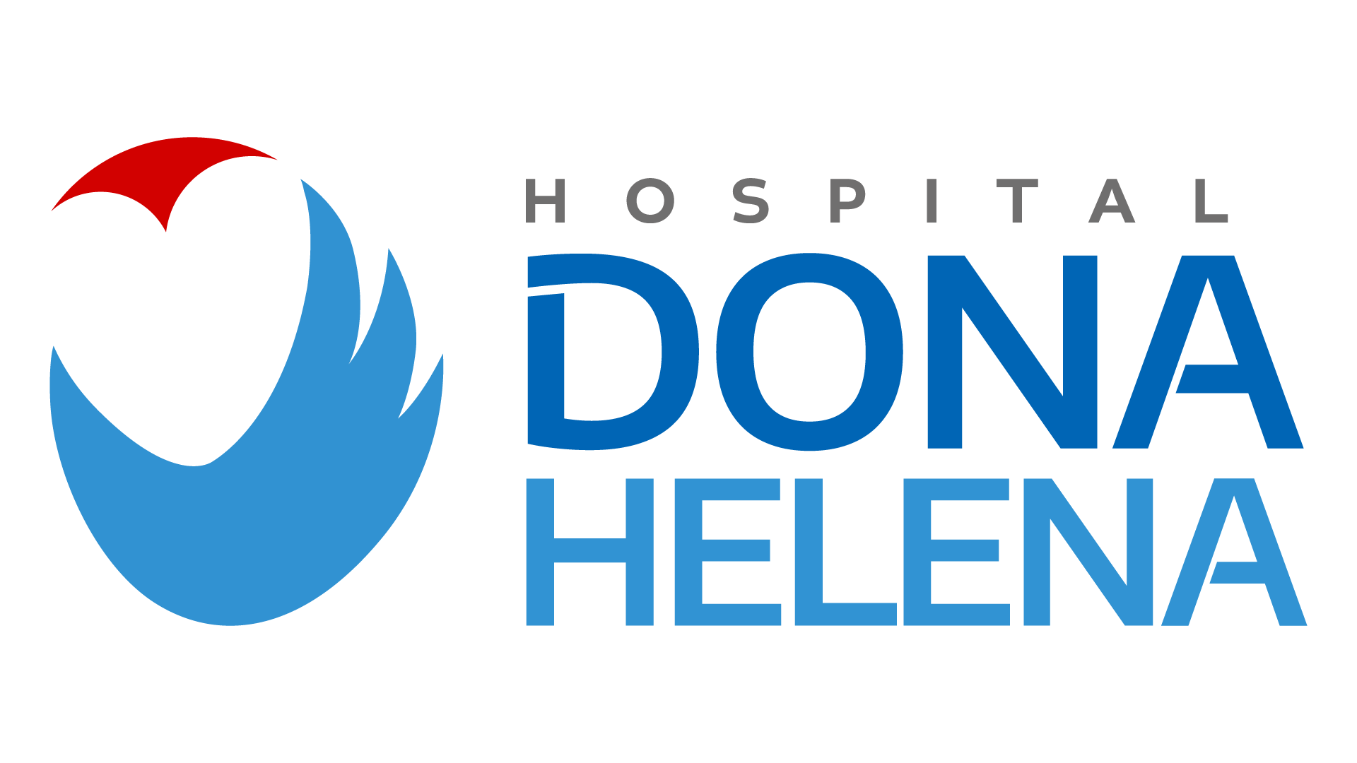Logotipo do Hospital Dona Helena, apresentando um ícone abstrato azul com asas e um detalhe em vermelho ao lado do texto azul.