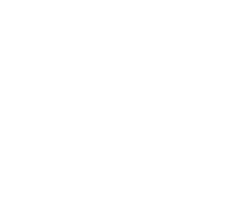 Windscreen & Tint Blacktown Windscreen & Tint Blacktown