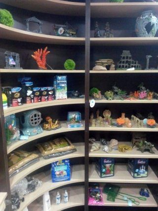 ACCESSORI ACQUARIO