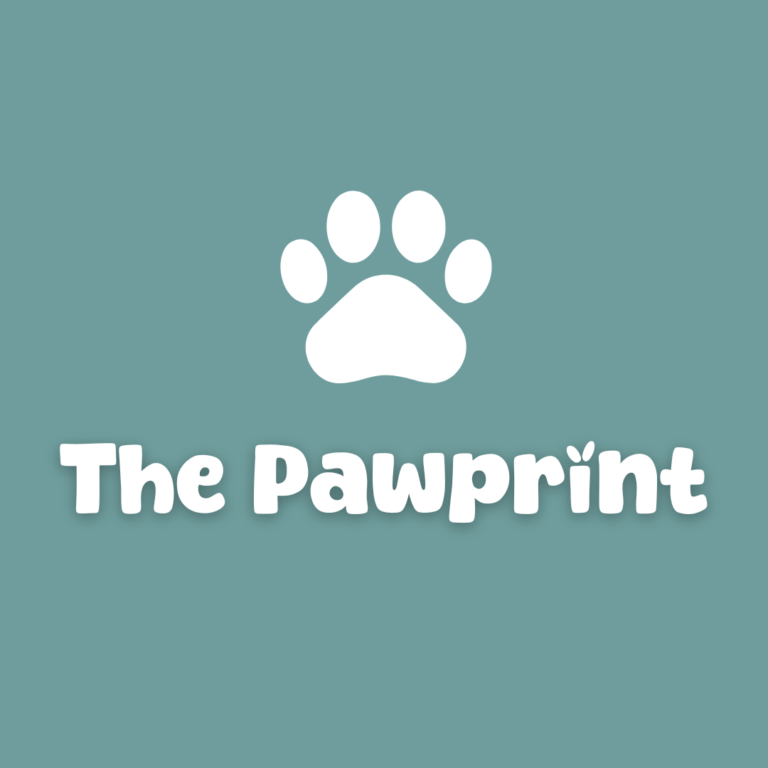 White paw print above 