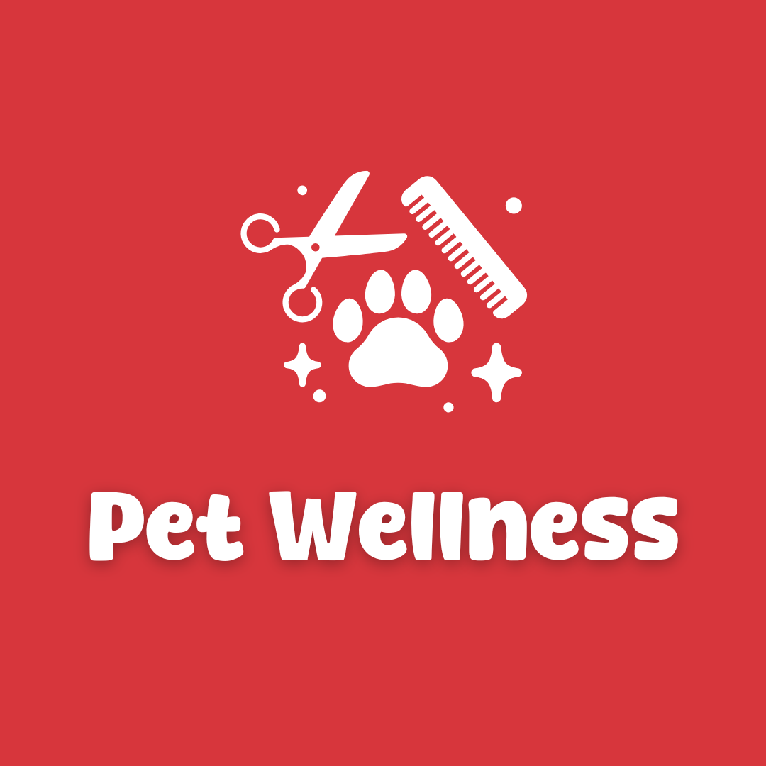 White pet grooming tools and paw print icon, 