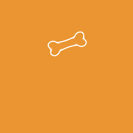 White outline of a dog bone on an orange background.